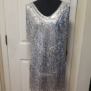 Gorgeous Metallic Silver Mini Dress with Sequin Fringe